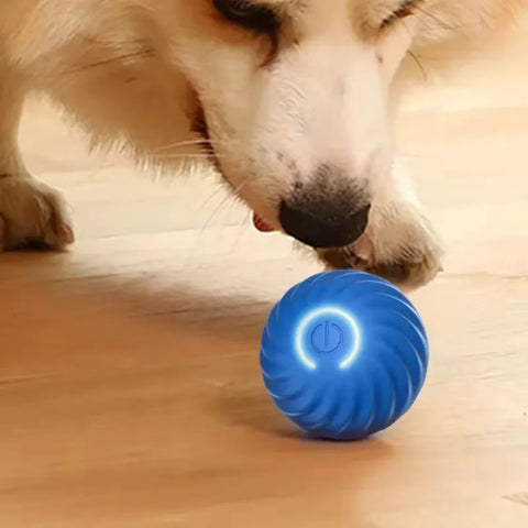 Cat Interactive Ball | Electric Self-Moving Toy | Rolling Magic Ball | Training Toy for Kitten/Small Dog | Automatic Pet Play Ball