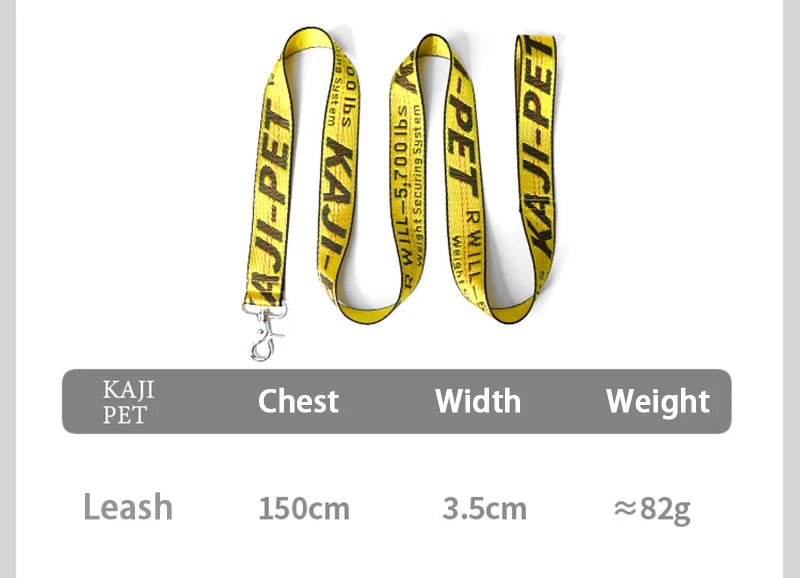 Durable Nylon Dog Collar & Leash Set – Fashion Gold Chain Lettered Design