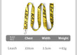 Durable Nylon Dog Collar & Leash Set – Fashion Gold Chain Lettered Design