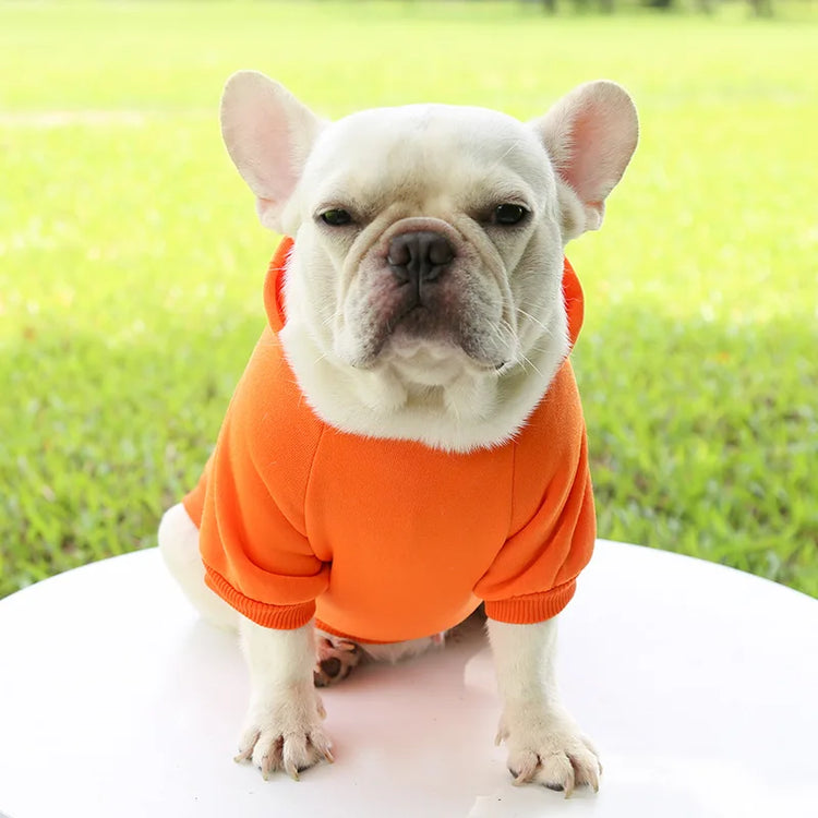 Warm Cotton Hoodie for Cats & Small Dogs | Cozy Pet Coat | Autumn/Winter with Cute Design