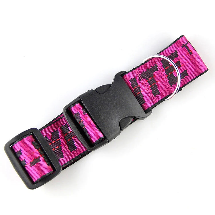 Durable Nylon Dog Collar & Leash Set – Fashion Gold Chain Lettered Design