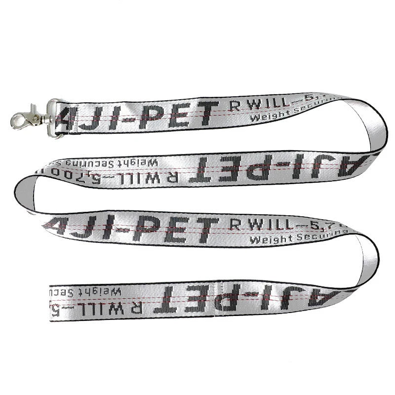 Durable Nylon Dog Collar & Leash Set – Fashion Gold Chain Lettered Design