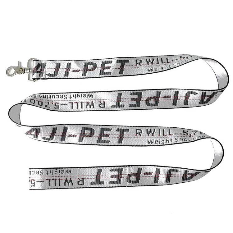Durable Nylon Dog Collar & Leash Set – Fashion Gold Chain Lettered Design
