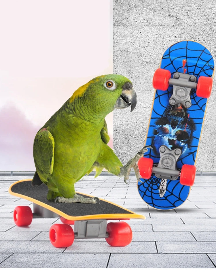 1 PC Parrot Training Skateboard | Bird Skates Perch Toy for Lovebirds, Canaries, Calopsita, Birds Accessories