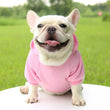 Warm Cotton Hoodie for Cats & Small Dogs | Cozy Pet Coat | Autumn/Winter with Cute Design