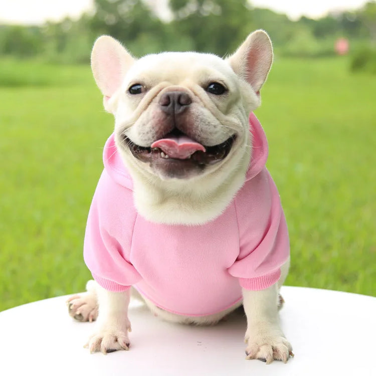 Warm Cotton Hoodie for Cats & Small Dogs | Cozy Pet Coat | Autumn/Winter with Cute Design