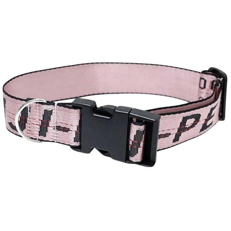 Durable Nylon Dog Collar & Leash Set – Fashion Gold Chain Lettered Design