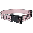 Durable Nylon Dog Collar & Leash Set – Fashion Gold Chain Lettered Design