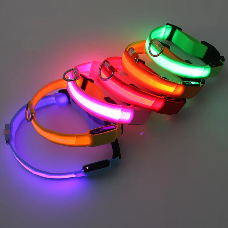 LED Luminous Dog Collar USB Charging Flashing Glowing Safety Anti-Lost Collar for Cats and Dogs          Ask ChatGPT
