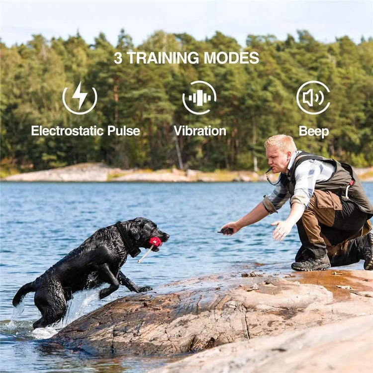 2 in 1 Dog Training Collar & Anti-Bark Collar | Remote Control | Waterproof