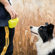 Silicone Dog Training Treat Bag – Magnetic Closure, Clip-On Design, Easy Access