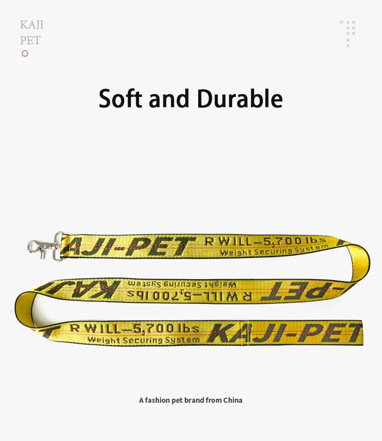 Durable Nylon Dog Collar & Leash Set – Fashion Gold Chain Lettered Design