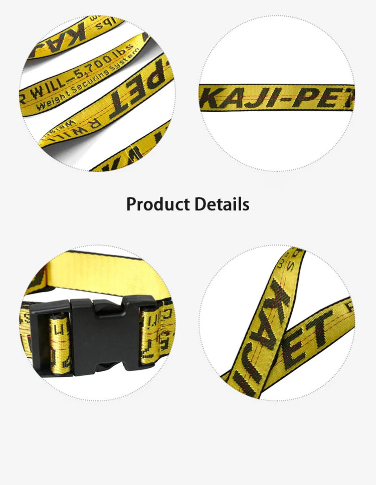 Durable Nylon Dog Collar & Leash Set – Fashion Gold Chain Lettered Design