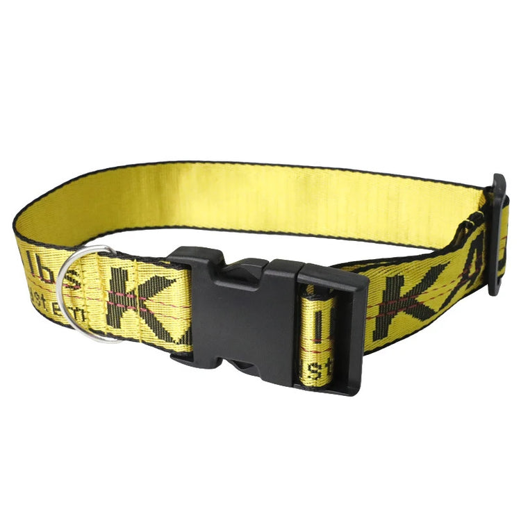 Durable Nylon Dog Collar & Leash Set – Fashion Gold Chain Lettered Design
