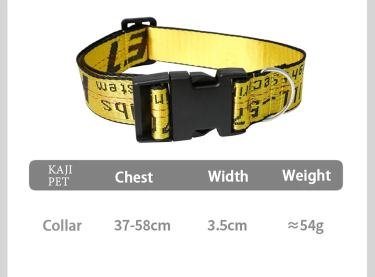 Durable Nylon Dog Collar & Leash Set – Fashion Gold Chain Lettered Design