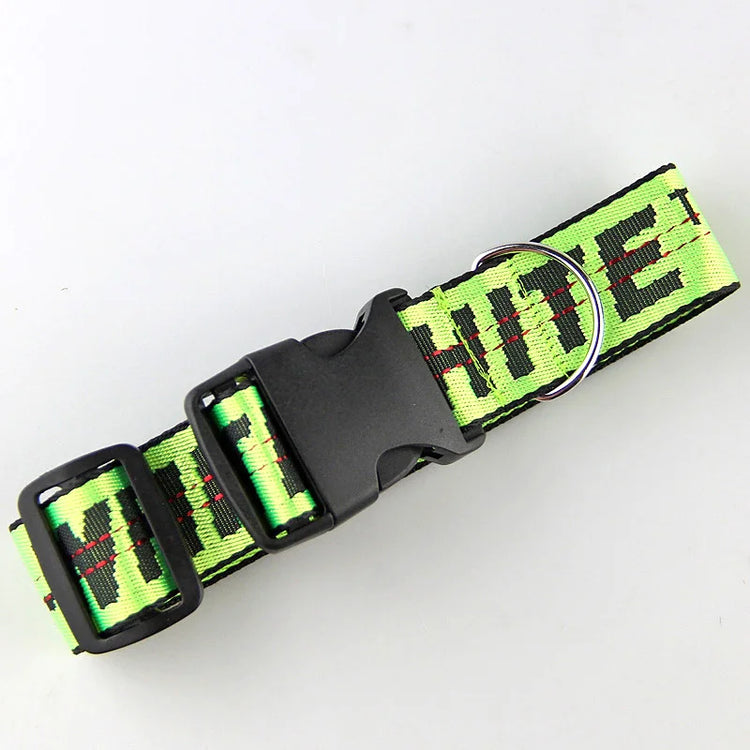 Durable Nylon Dog Collar & Leash Set – Fashion Gold Chain Lettered Design