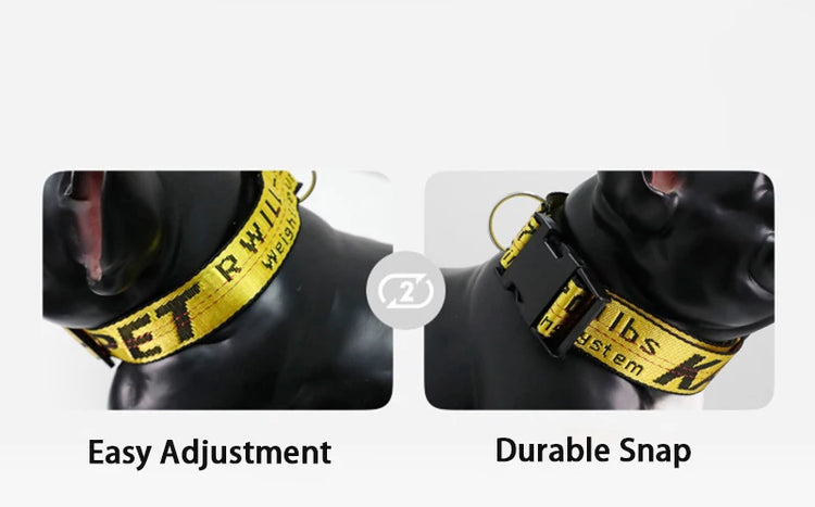 Durable Nylon Dog Collar & Leash Set – Fashion Gold Chain Lettered Design