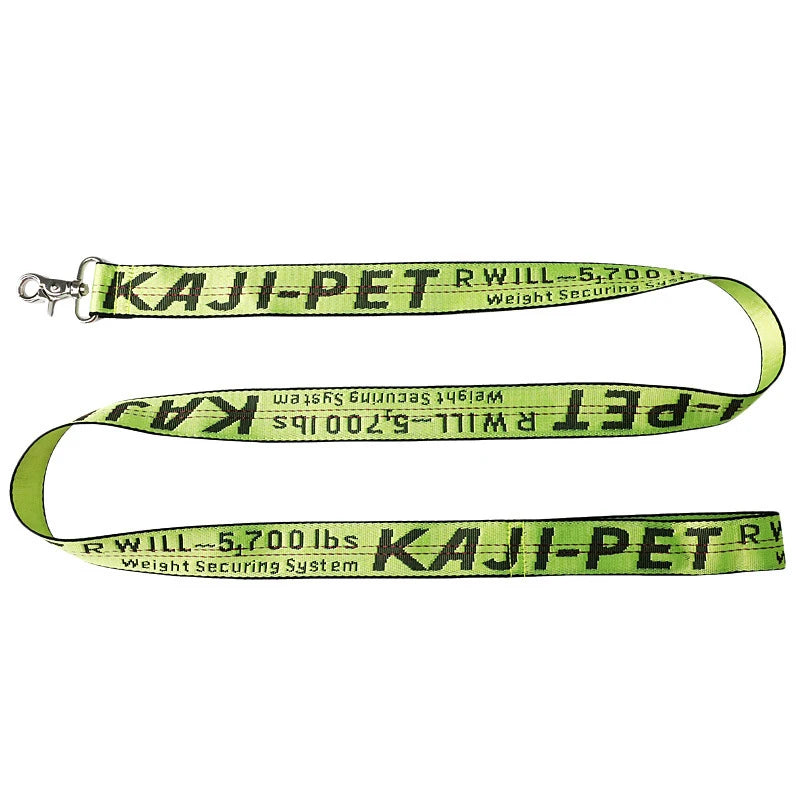 Durable Nylon Dog Collar & Leash Set – Fashion Gold Chain Lettered Design