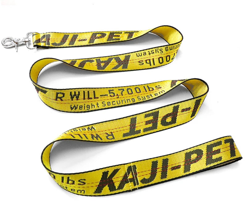 Durable Nylon Dog Collar & Leash Set – Fashion Gold Chain Lettered Design