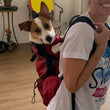 Strong Nylon Dog Carrier Backpack – Breathable Outdoor Travel Backpack for Small & Medium Dogs