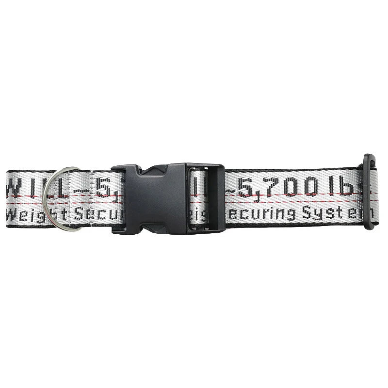 Durable Nylon Dog Collar & Leash Set – Fashion Gold Chain Lettered Design