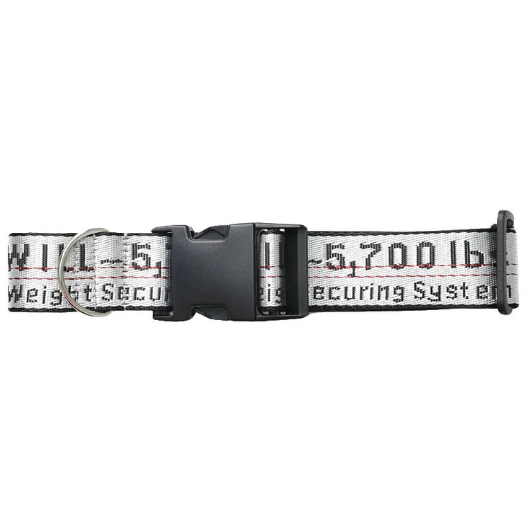 Durable Nylon Dog Collar & Leash Set – Fashion Gold Chain Lettered Design