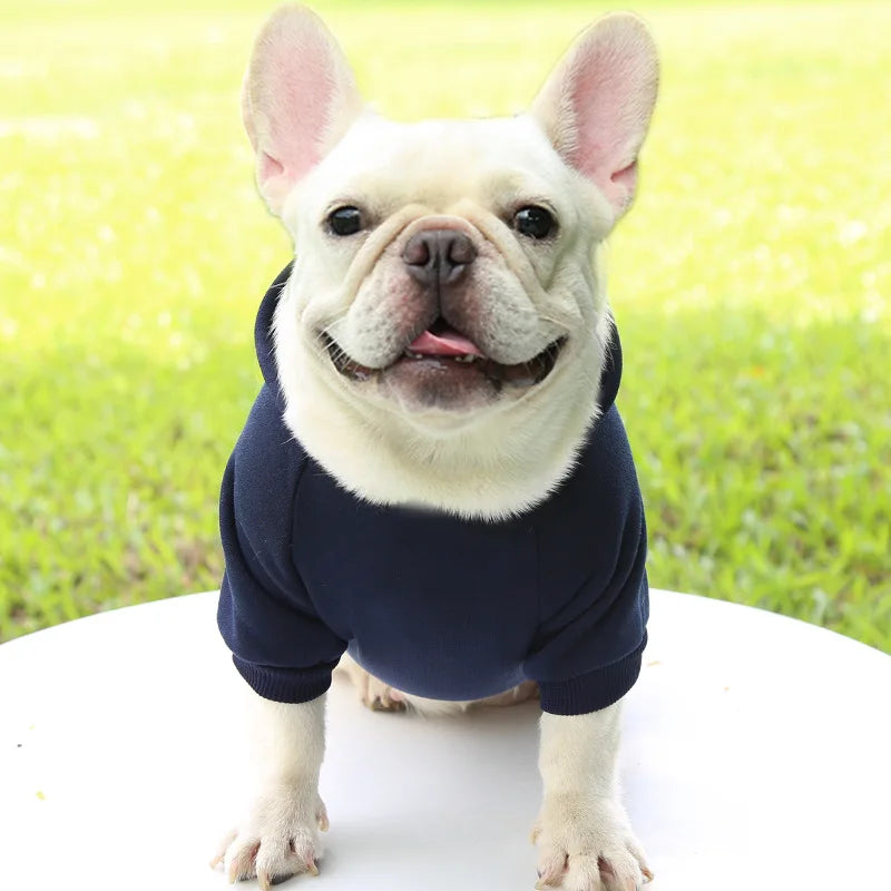 Warm Cotton Hoodie for Cats & Small Dogs | Cozy Pet Coat | Autumn/Winter with Cute Design