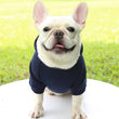 Warm Cotton Hoodie for Cats & Small Dogs | Cozy Pet Coat | Autumn/Winter with Cute Design