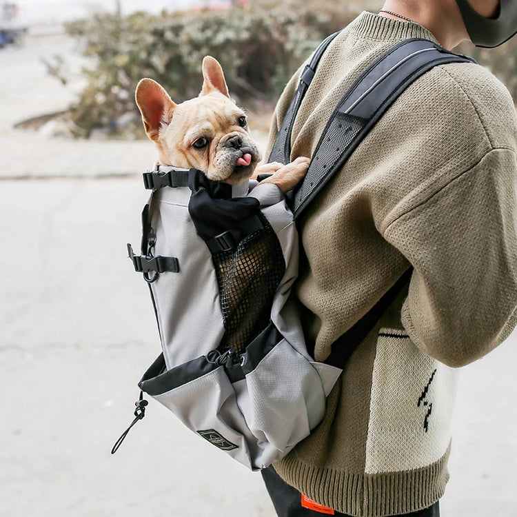 Strong Nylon Dog Carrier Backpack – Breathable Outdoor Travel Backpack for Small & Medium Dogs