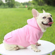 Warm Cotton Hoodie for Cats & Small Dogs | Cozy Pet Coat | Autumn/Winter with Cute Design