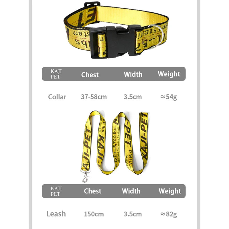 Durable Nylon Dog Collar & Leash Set – Fashion Gold Chain Lettered Design