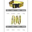 Durable Nylon Dog Collar & Leash Set – Fashion Gold Chain Lettered Design