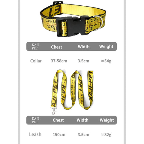 Durable Nylon Dog Collar & Leash Set – Fashion Gold Chain Lettered Design