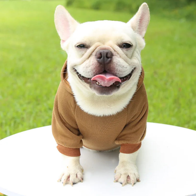 Warm Cotton Hoodie for Cats & Small Dogs | Cozy Pet Coat | Autumn/Winter with Cute Design