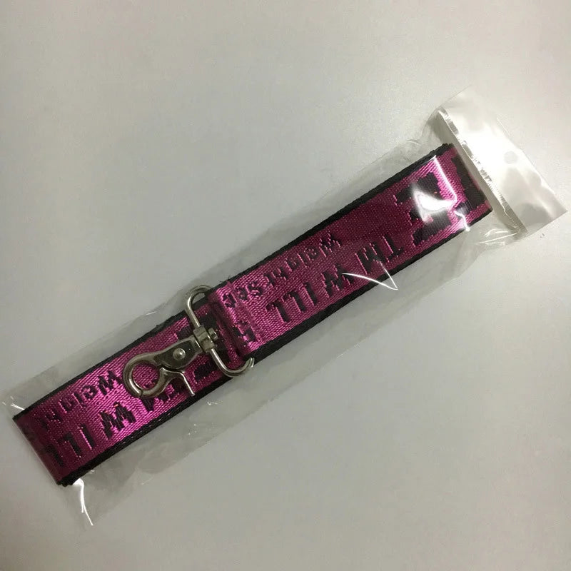 Durable Nylon Dog Collar & Leash Set – Fashion Gold Chain Lettered Design