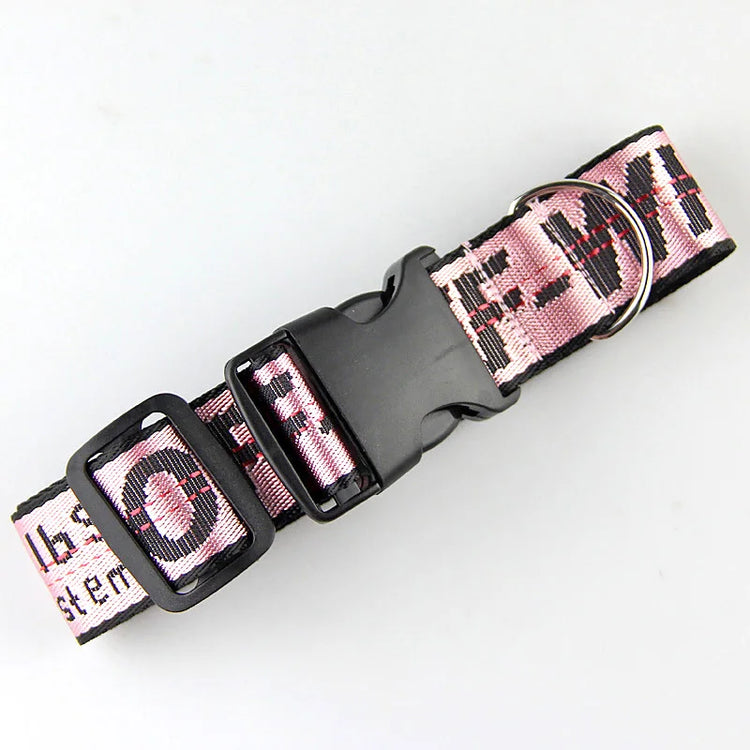 Durable Nylon Dog Collar & Leash Set – Fashion Gold Chain Lettered Design