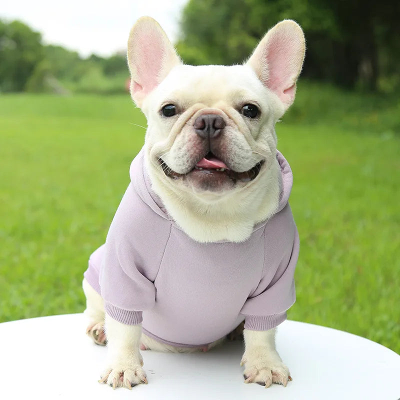 Warm Cotton Hoodie for Cats & Small Dogs | Cozy Pet Coat | Autumn/Winter with Cute Design