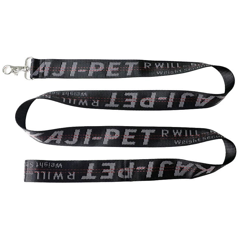 Durable Nylon Dog Collar & Leash Set – Fashion Gold Chain Lettered Design