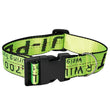 Durable Nylon Dog Collar & Leash Set – Fashion Gold Chain Lettered Design