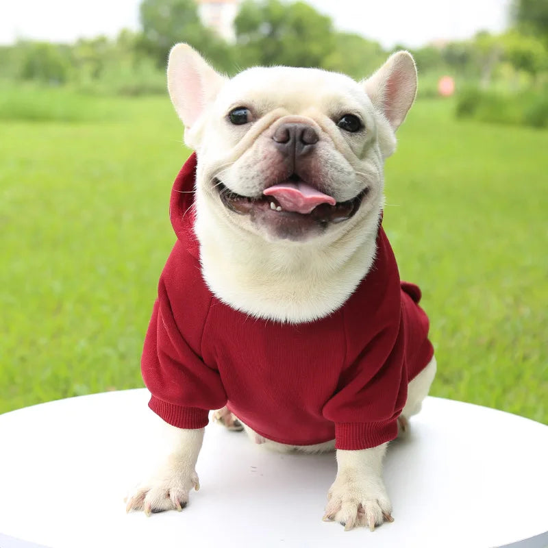 Warm Cotton Hoodie for Cats & Small Dogs | Cozy Pet Coat | Autumn/Winter with Cute Design