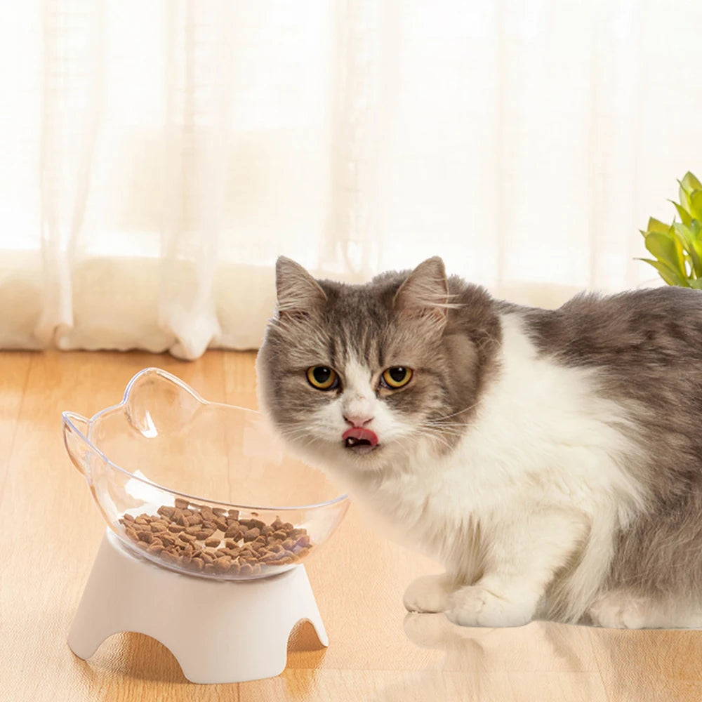 For Cats & Dogs Feeders | Non-Slip Pet Food and Water Bowls | Cat Bowl | Feeding Products | Pet Supplies with Stand Base | Transparent Design