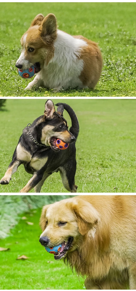 HOOPET Interactive Dog Ball Toys – Light-Up & Bell Rubber Balls for Active Play