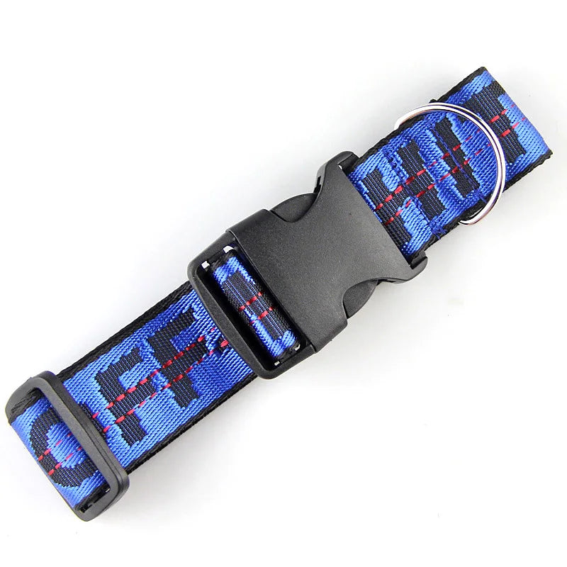 Durable Nylon Dog Collar & Leash Set – Fashion Gold Chain Lettered Design