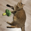Squeaky Pet Cat Toys | Catnip Plush Cat Toy | Plush Kitty Toy | Katten Speelgoed | Gatos Juguetes | Catnip Toys for Cats and Kittens | Pet Supplies