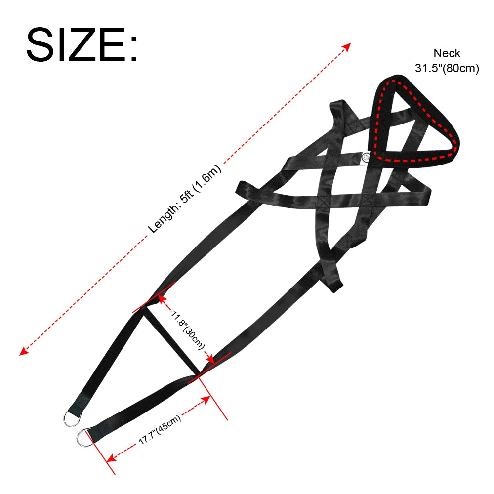 Adjustable Dog Training Harness – Padded Nylon Pet Accessories for Medium & Large Dogs