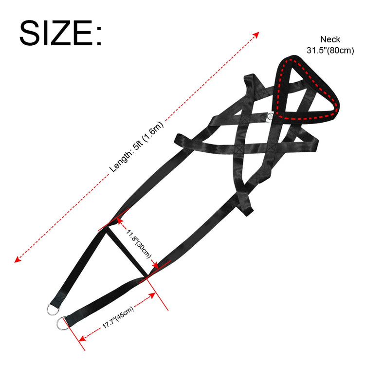 Adjustable Dog Training Harness – Padded Nylon Pet Accessories for Medium & Large Dogs