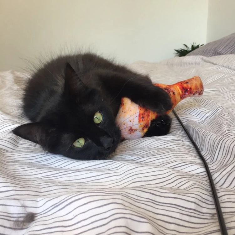 Squeaky Pet Cat Toys | Catnip Plush Cat Toy | Plush Kitty Toy | Katten Speelgoed | Gatos Juguetes | Catnip Toys for Cats and Kittens | Pet Supplies