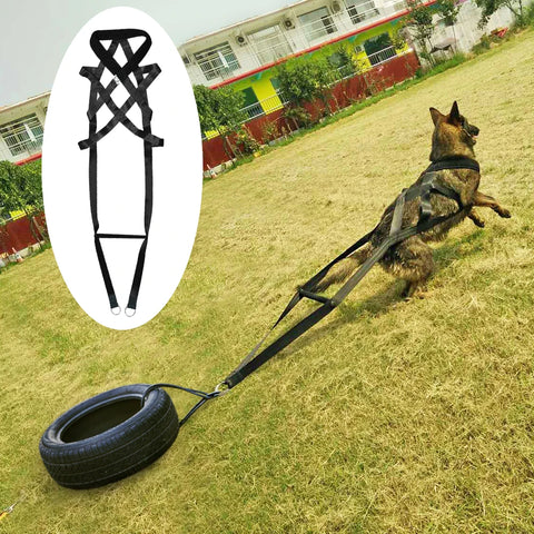 Adjustable Dog Training Harness – Padded Nylon Pet Accessories for Medium & Large Dogs