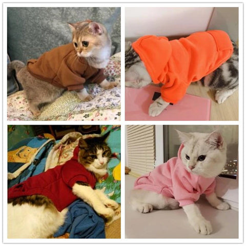 Warm Cotton Hoodie for Cats & Small Dogs | Cozy Pet Coat | Autumn/Winter with Cute Design