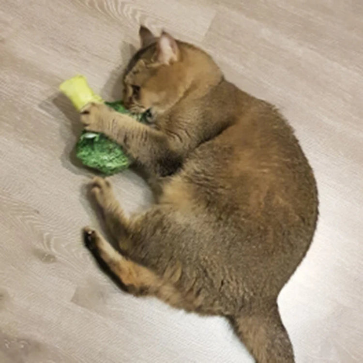 Squeaky Pet Cat Toys | Catnip Plush Cat Toy | Plush Kitty Toy | Katten Speelgoed | Gatos Juguetes | Catnip Toys for Cats and Kittens | Pet Supplies